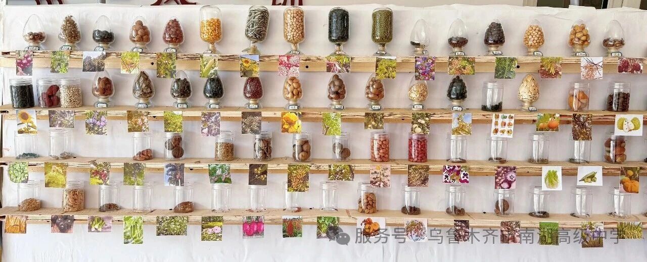 1774234882703259.jpg 1774234882703259.jpg