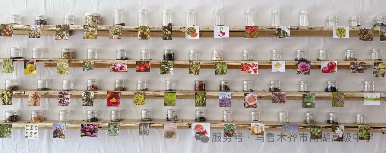 1774234883195828.jpg 1774234883195828.jpg