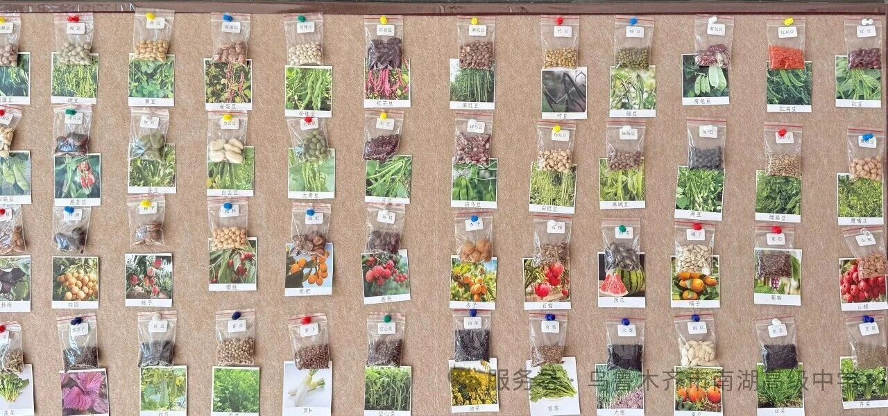 1774234883486883.jpg 1774234883486883.jpg