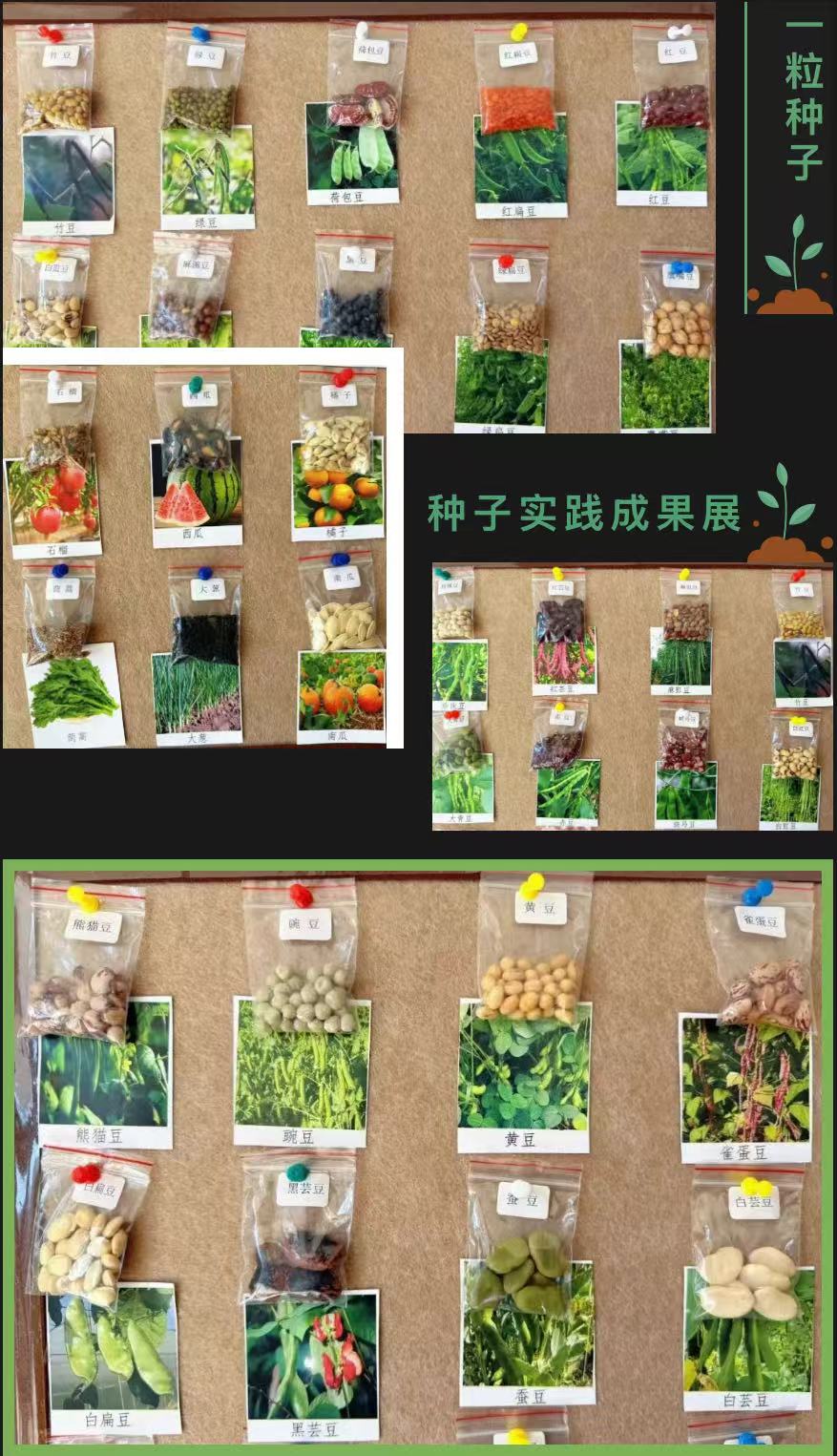 1774235546515777.jpg 1774235546515777.jpg