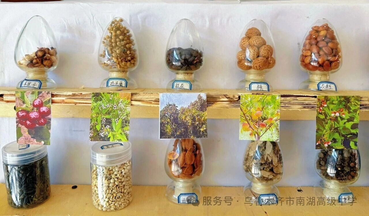 1774235676474908.jpg 1774235676474908.jpg