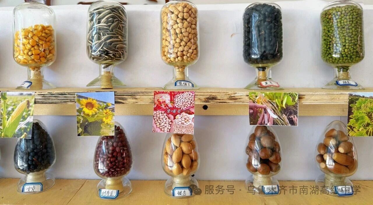 1774235676715838.jpg 1774235676715838.jpg