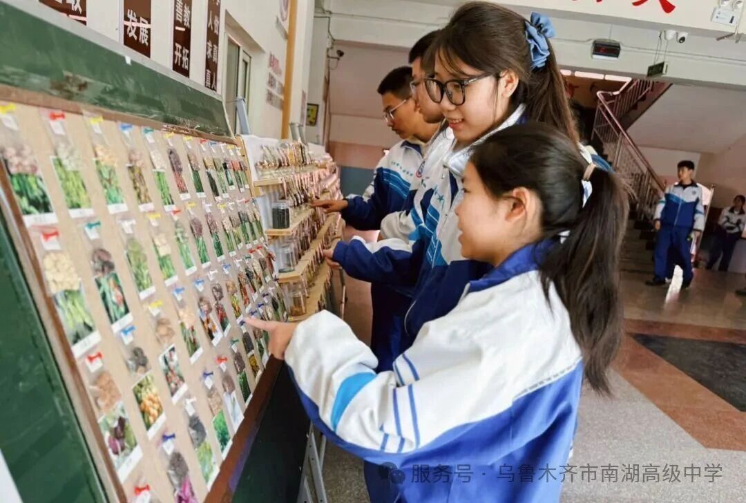 1774235852296710.jpg 1774235852296710.jpg