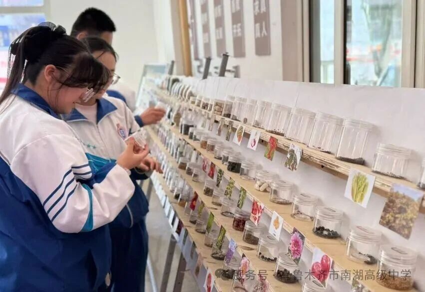 1774235852563375.jpg 1774235852563375.jpg